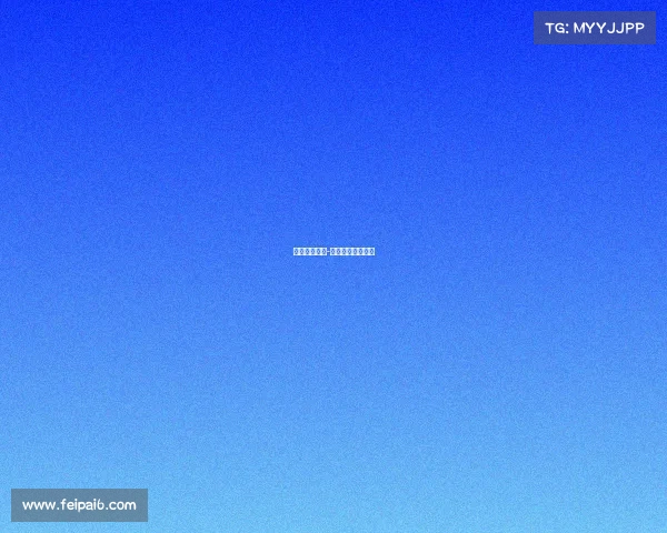 昕泽电子竞技-昕泽科技有限公司